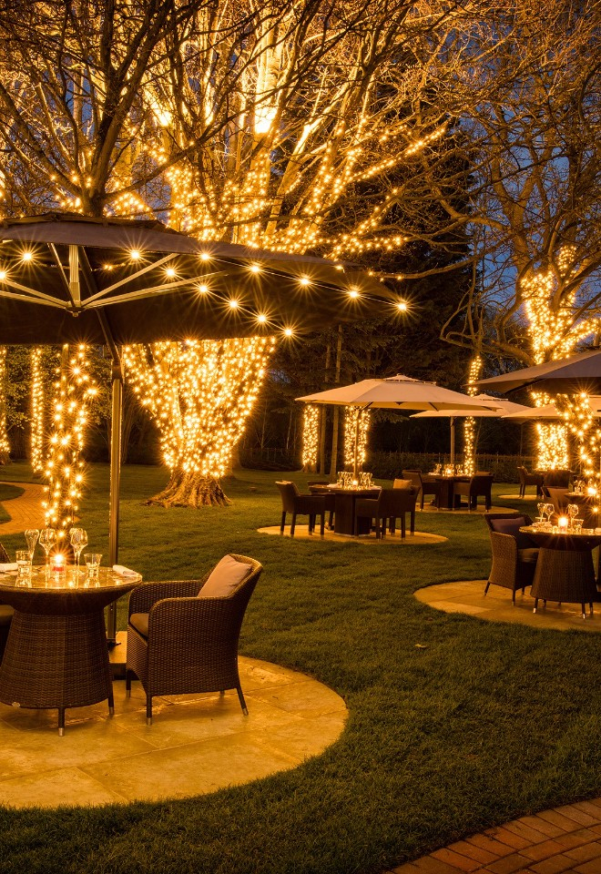 Woodland Gardens - Night