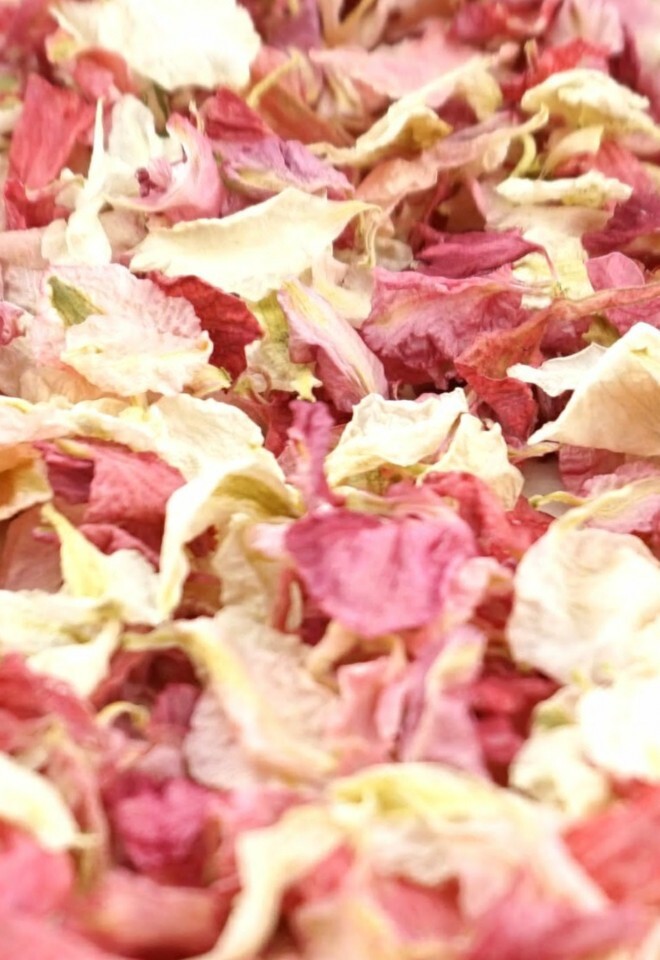 The Dried Petal Companys Biodegradable Wedding Confetti Larkspur Petals Raspberry Vanilla Mix Pink Cream Ivory