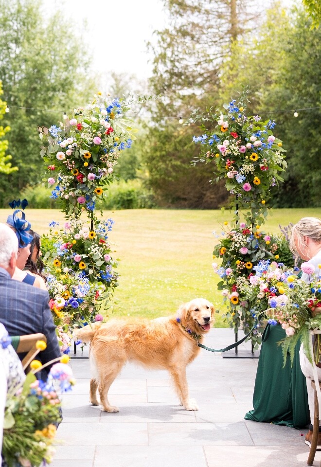 We Are Dog Friendly at The Old Mill Aldermaston