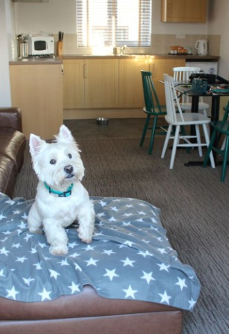 Acorn & Acer Cottages - Dog Friendly - China Fleet Country Club, Saltash, Cornwall