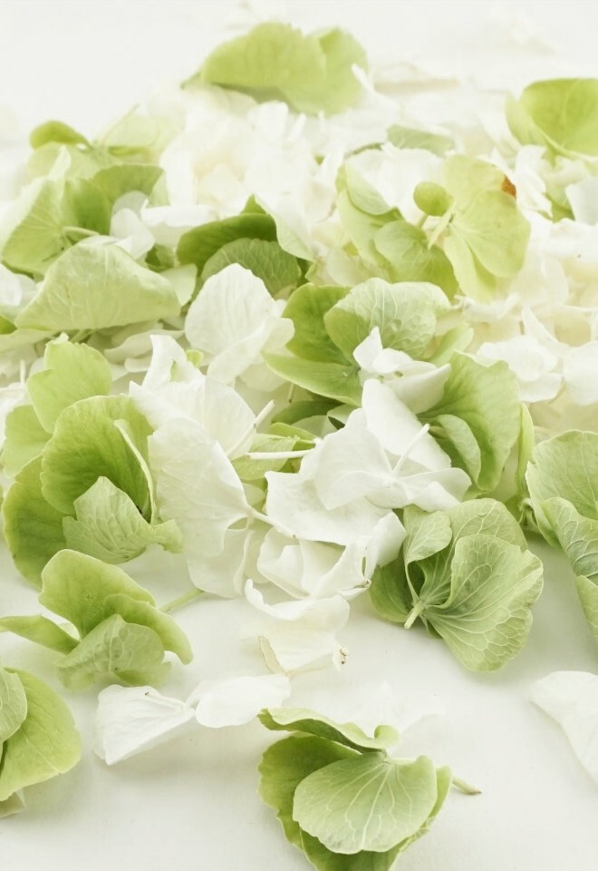 The Dried Petal Companys Biodegradable Wedding Confetti Freeze-Dried Hydrangea Petals Hint of Mint Mix