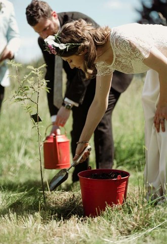 Tree Dedication