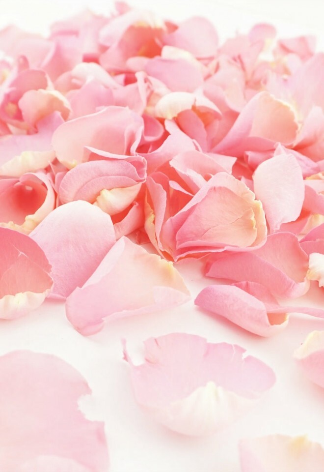 The Dried Petal Companys Biodegradable Wedding Confetti Freeze-Dried Rose Petals Pink Sherbet