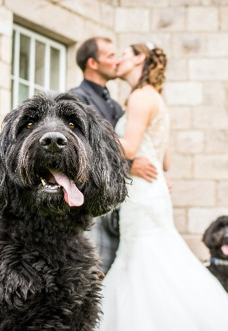 Dog Friendly Wedding Venue