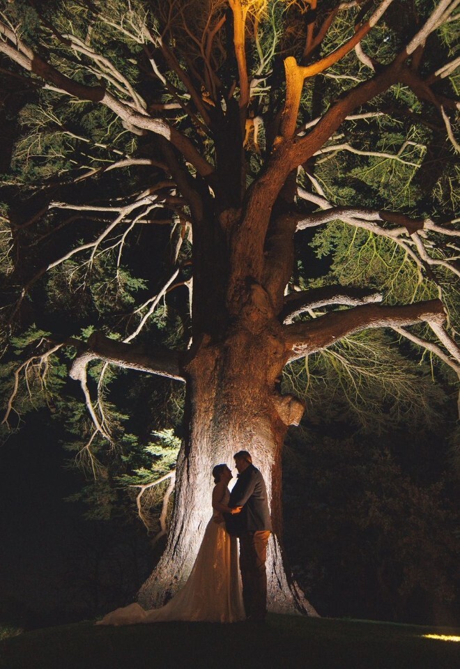 Bride and Groom stood under the Cedar tree 