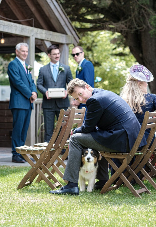 Wedding Dog