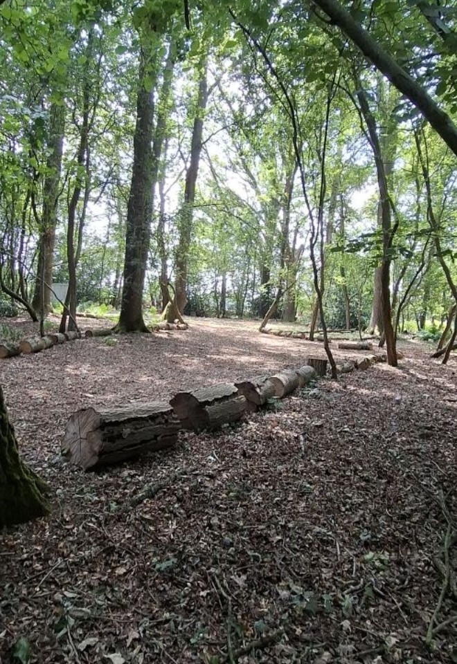 Under the trees