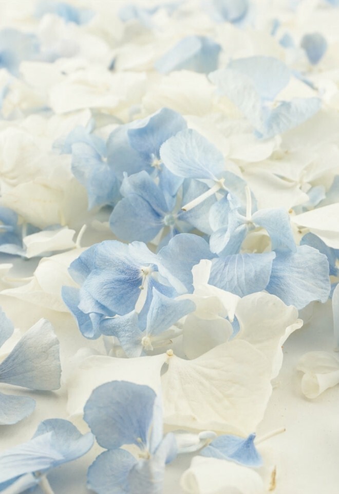 The Dried Petal Companys Biodegradable Wedding Confetti Freeze-Dried Hydrangea Petals Wistful Mix Ivory Blue