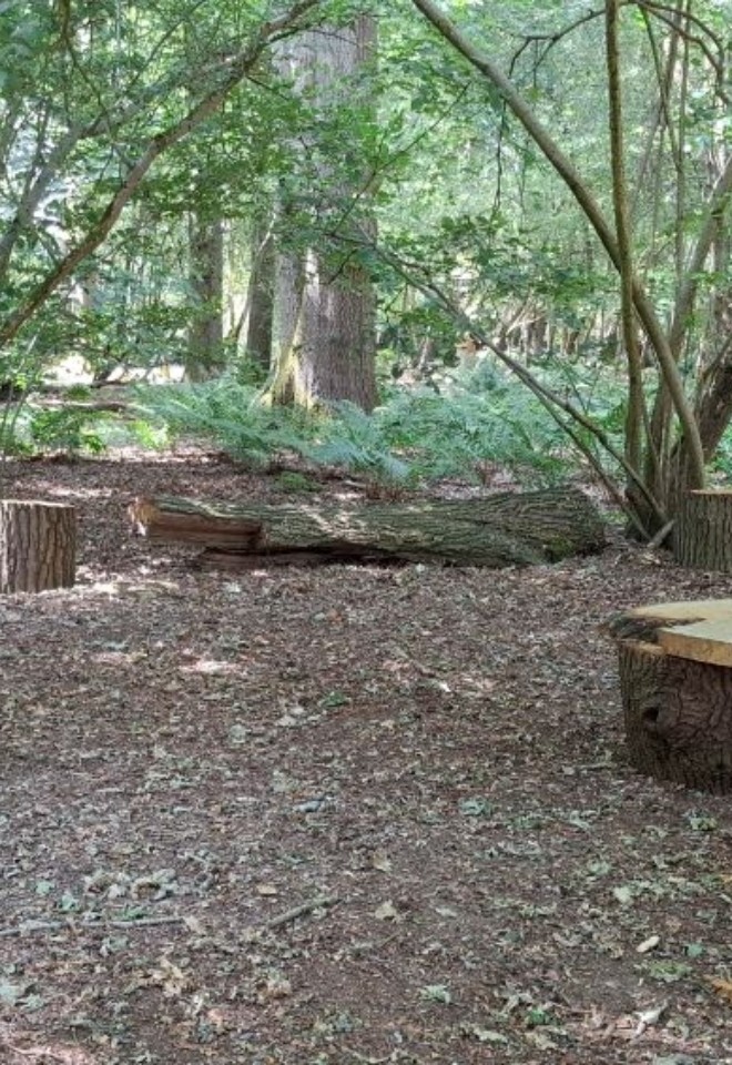 Oak benches