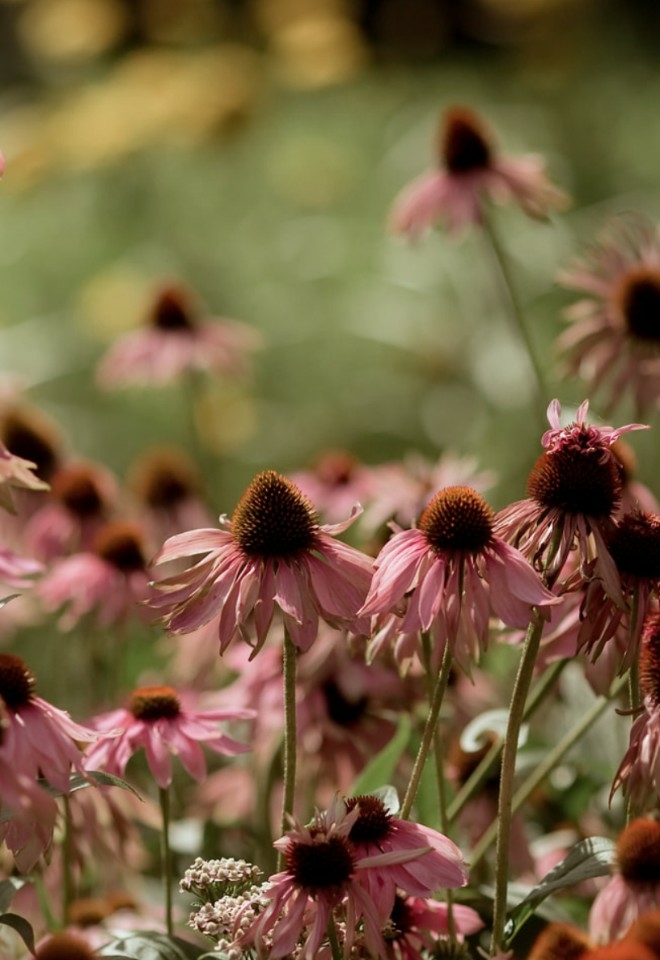 Berwick Lodge 18 acres of beautiful gardens