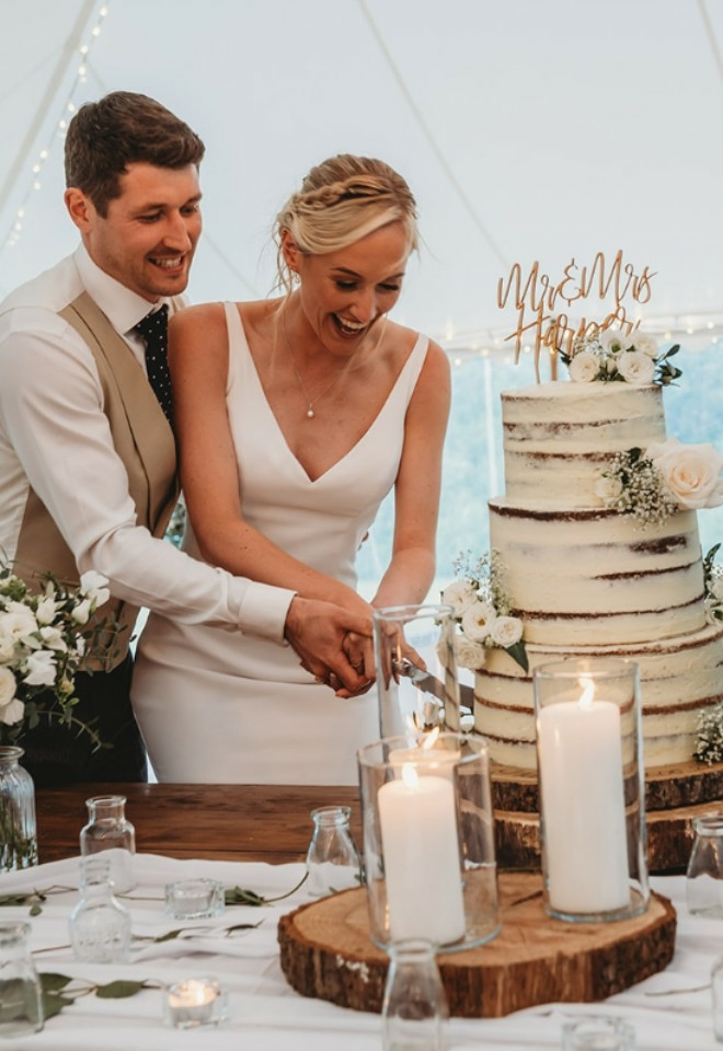 Wedding Cake Cutting 