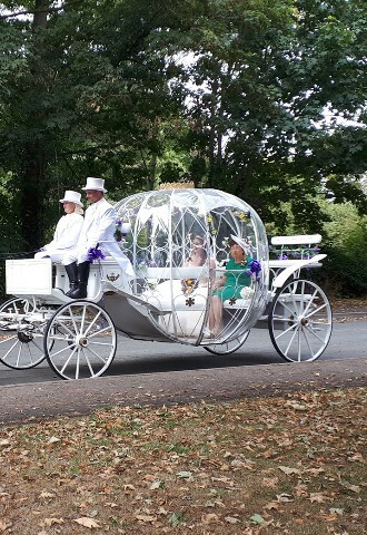 Horse drawn pumpkin Cinderella carriage for weddings in Gloucestershire