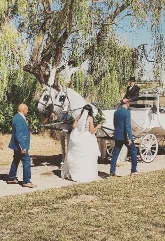 Horse & carriage wedding transport to Hungarian Hall Suffolk