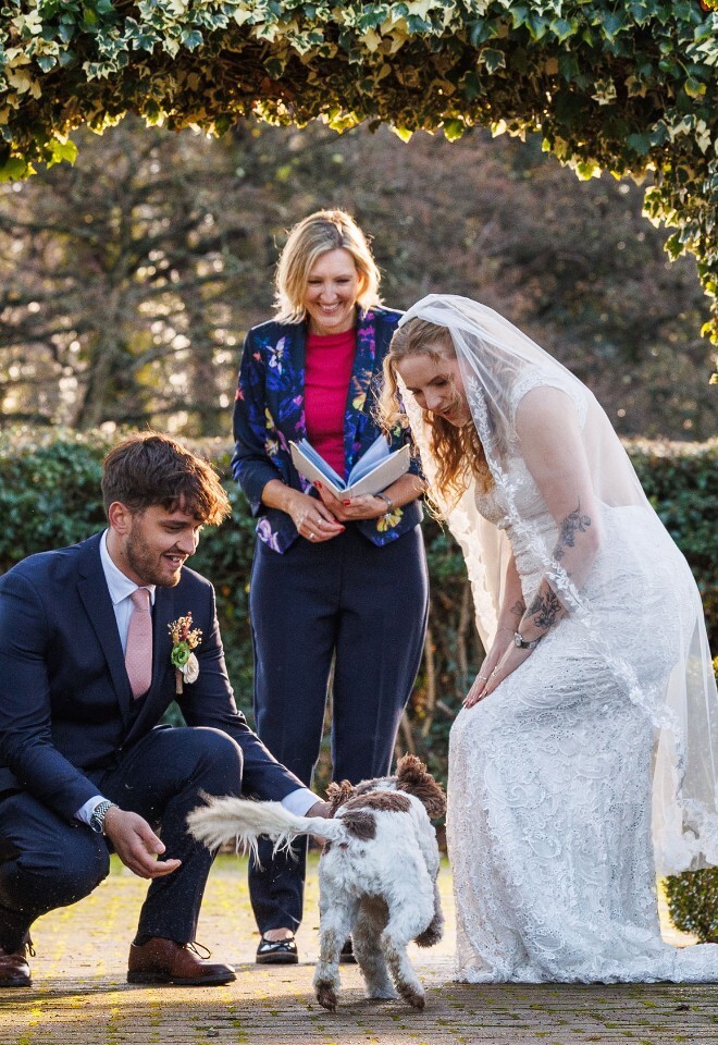 Dog ring bearer at wedding