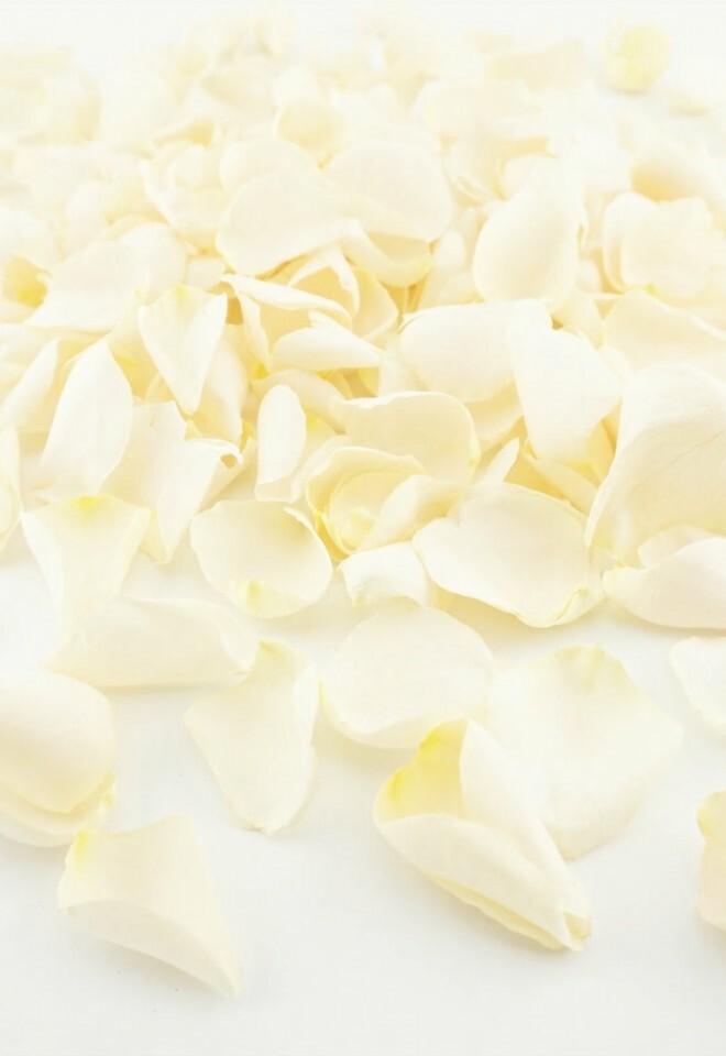 The Dried Petal Companys Biodegradable Wedding Confetti Freeze-Dried Rose Petals Pop the Champagne Cream Ivory