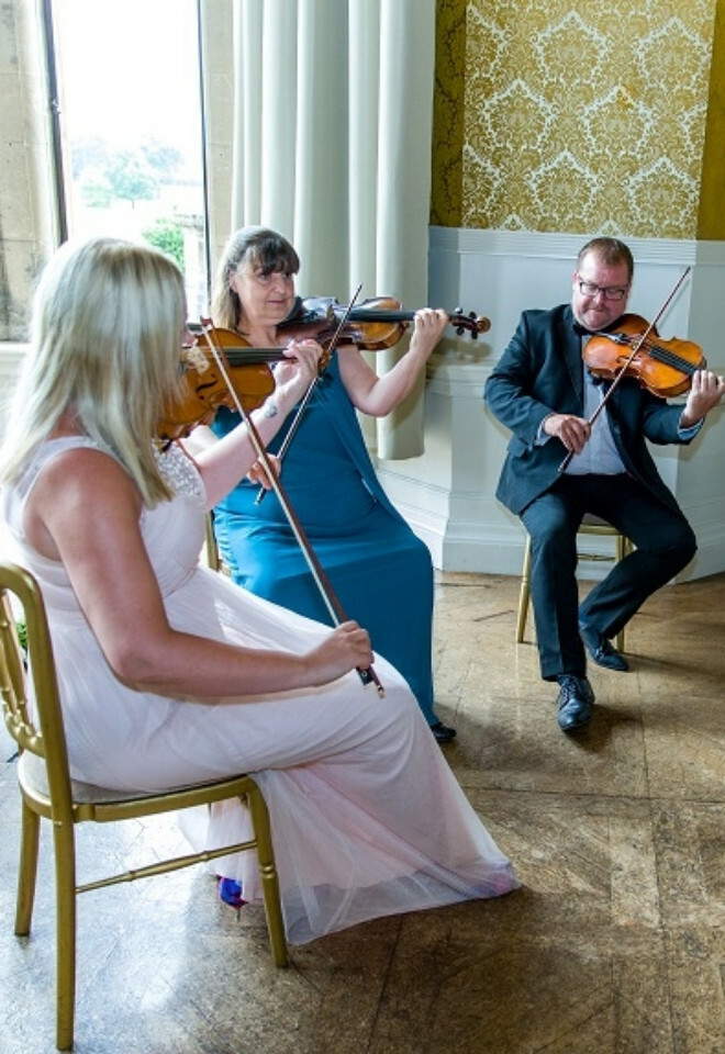 Wigornia Quartet Violinist