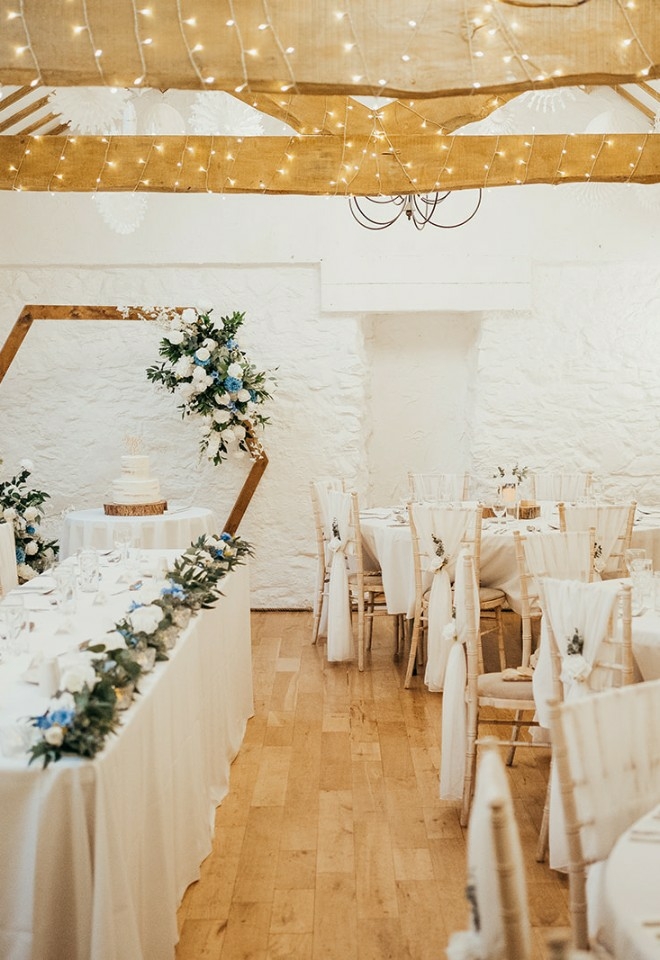 Holly Collings Photography 