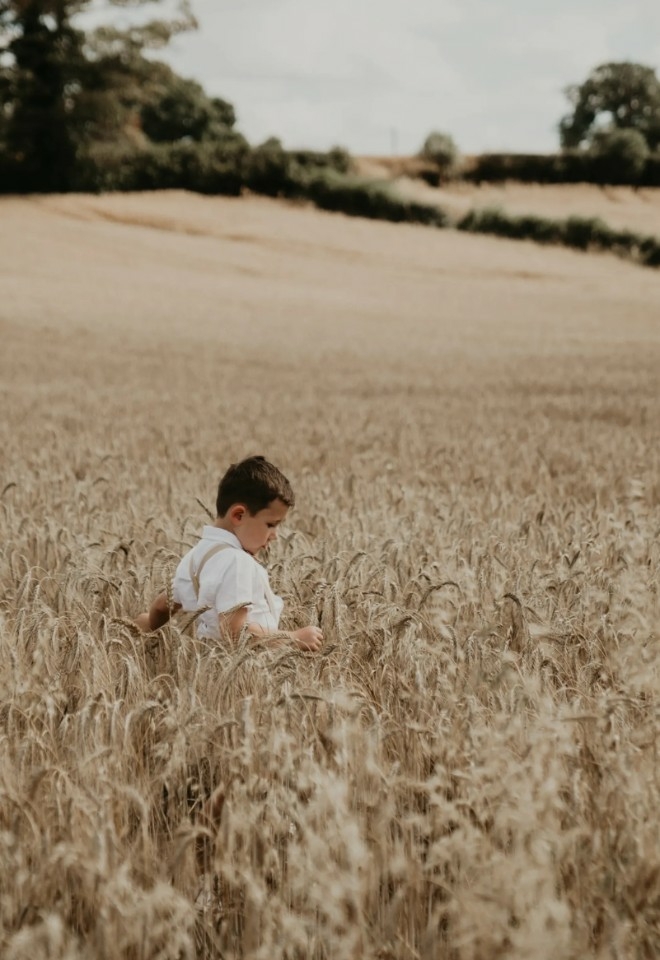 Page Boy playing in the Corn at Grange Farm Wedding Venue