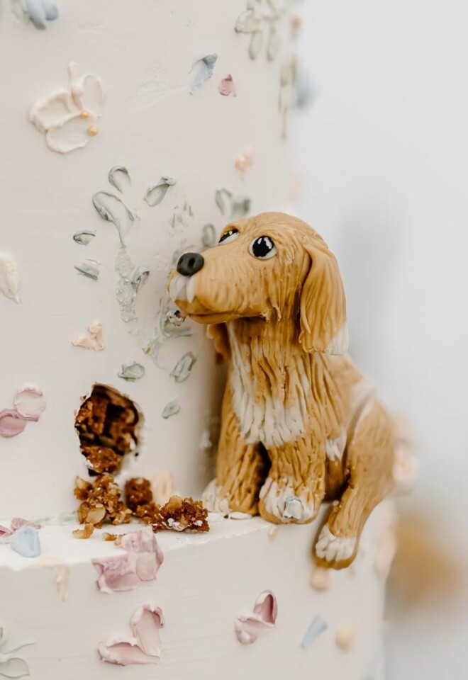 Fondant dog details 