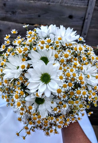 Daisy, hand tied bridal bouquet, Flowers by Marion, Kent