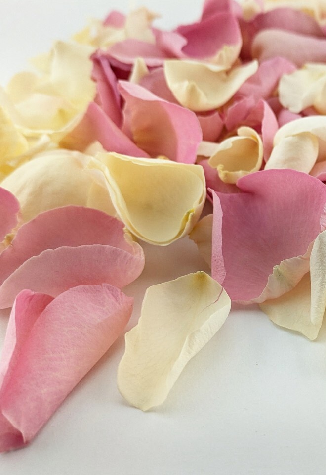 The Dried Petal Companys Biodegradable Wedding Confetti Freeze-Dried Rose Petals Sweethearts Mix Cream Pink