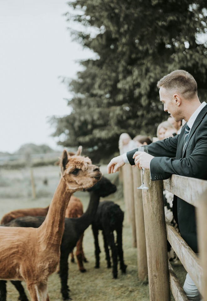 Amy & Adam - A June Wedding