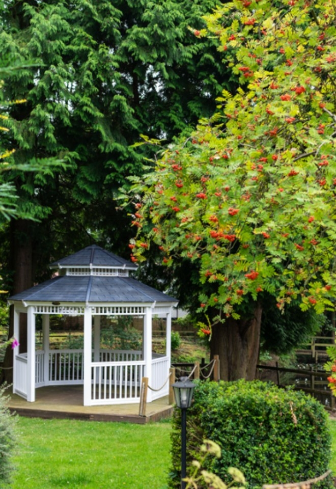Pavilion trees