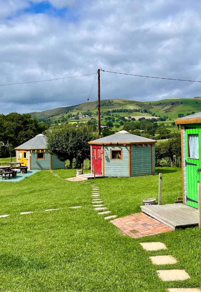 The yurt field