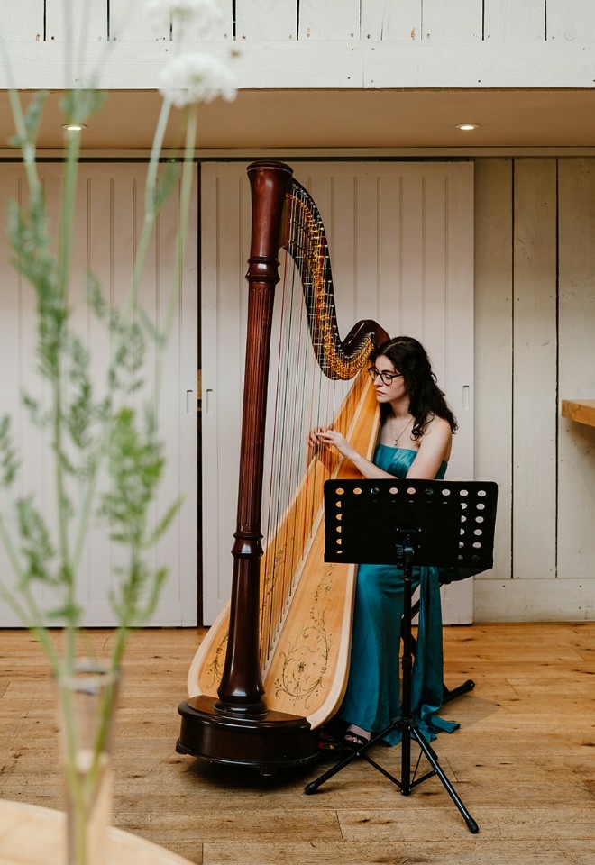 Harp music for guests at Primrose Hill Farm