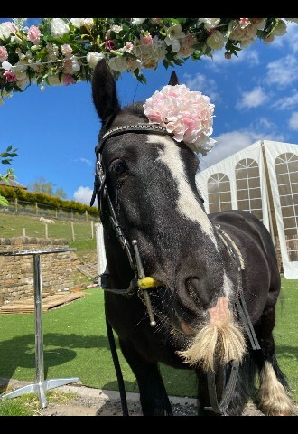 Come and meet Jack (the cool dude)