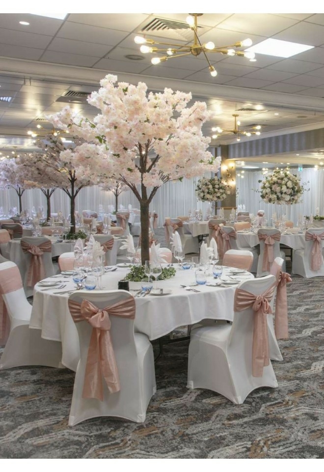 Courtney Suite
