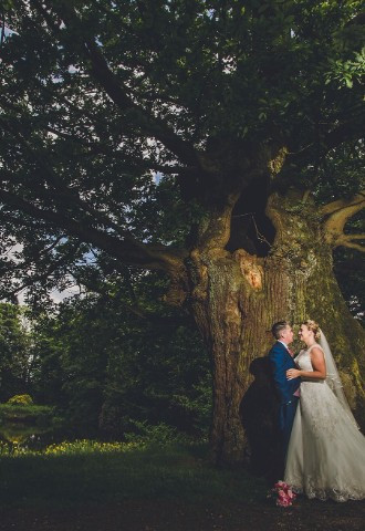 Wortley Hall oak tree in the gardens