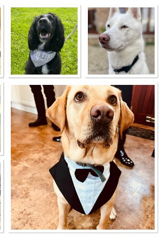 Dog friendly yorkshire wedding venue Thief Hall