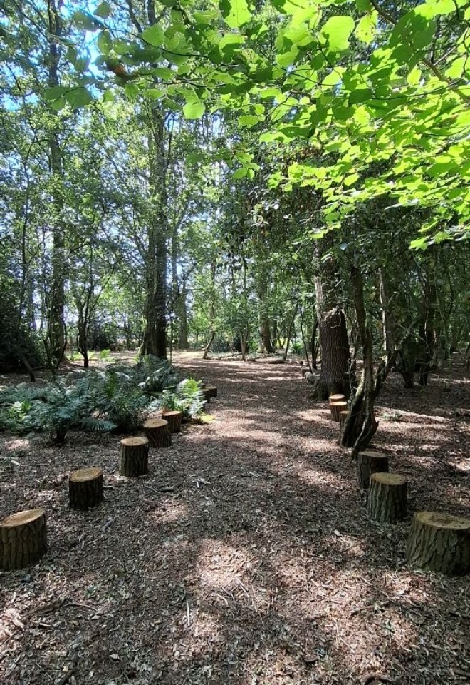 Tree lined walk way
