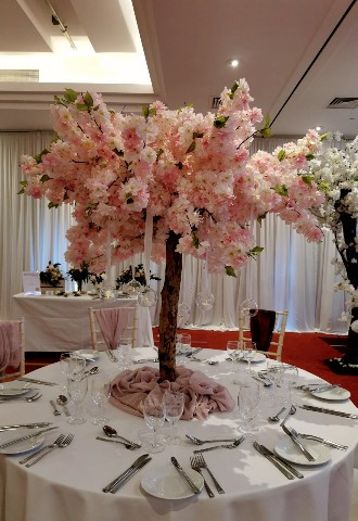 Blossom Tree in Classics Suite , Newcastle upon Tyne