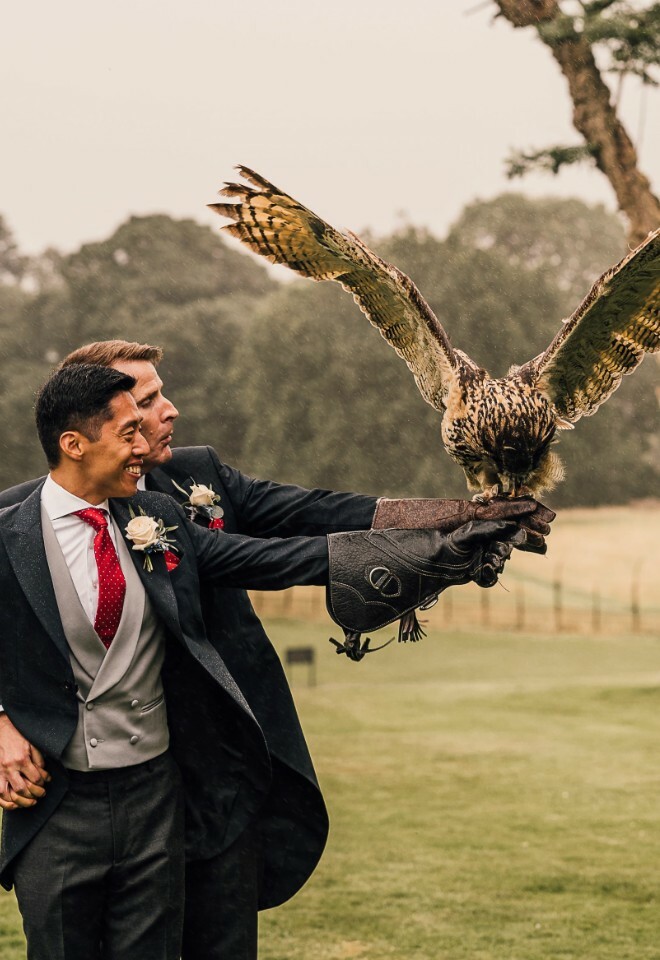 Birds of Prey at Weddings at Swinton Park Hotel