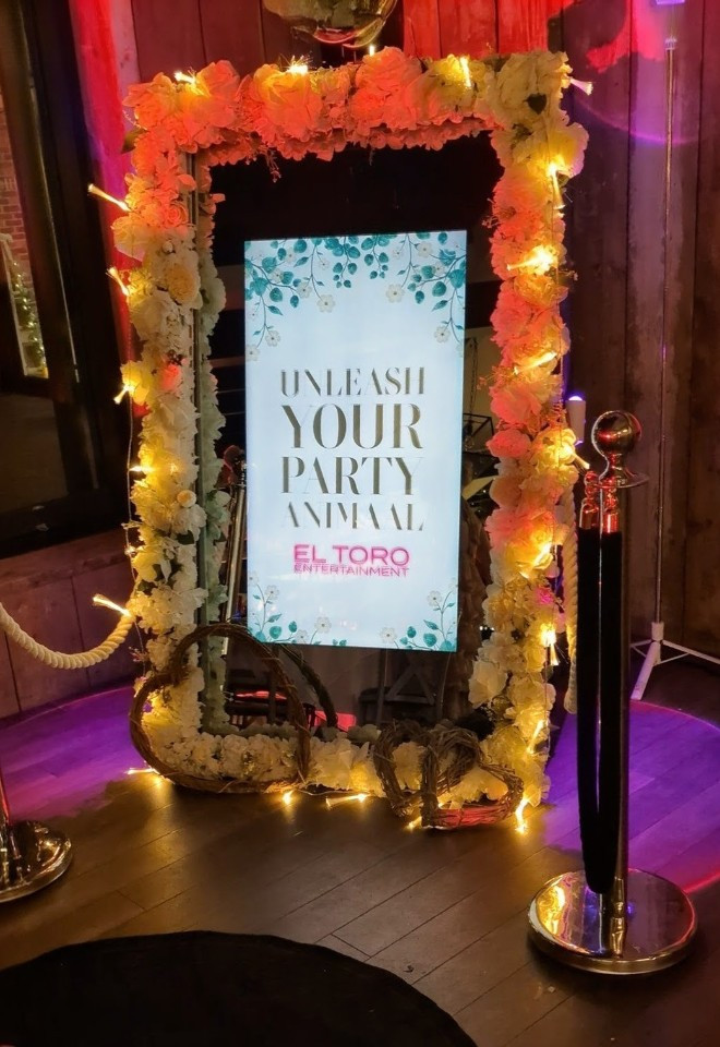 party animal mirror