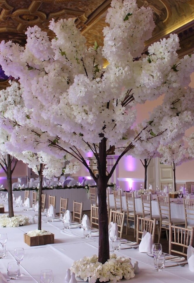 Luxury cherry blossom trees
