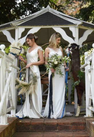 Wedding couple with al pacas at the Elephant Hotel Wedding Venue in Berkshire 
