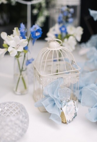 Blue Party Favours
