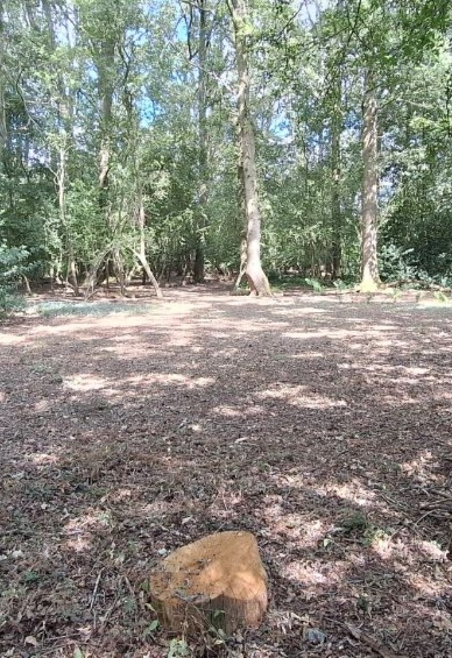 Space for a marquee