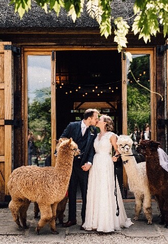 Oxfordshire Barn Wedding with Alpacas