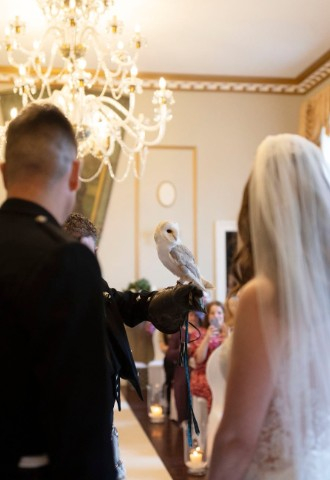 Owl Ring Delivery in ballroom for Wedding couple with owl at Melville Castle - a castle wedding venue near Edinburgh