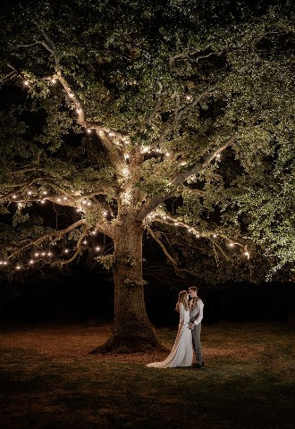 Wethele Manor Festoon Tree