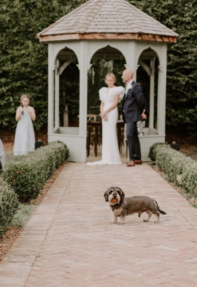 Dog friendly wedding at Retreat East Wedding Venue