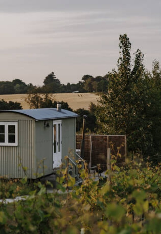 Poachers Hut Glamping Accommodation in Vineyard