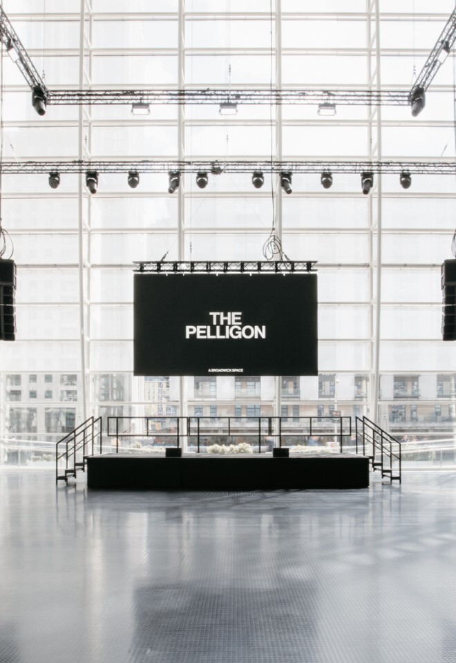 The Pelligon 