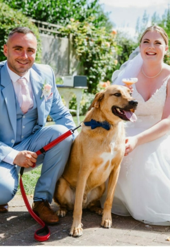 Dog-friendly ceremonies