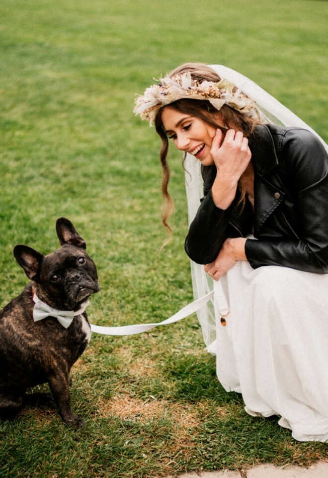 Dog Bow Ties For Wedding