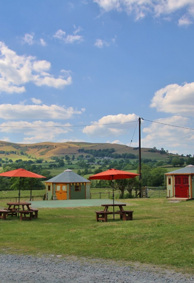 The yurt field